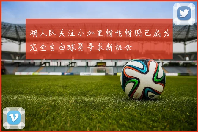 湖人队关注小加里特伦特现已成为完全自由球员寻求新机会